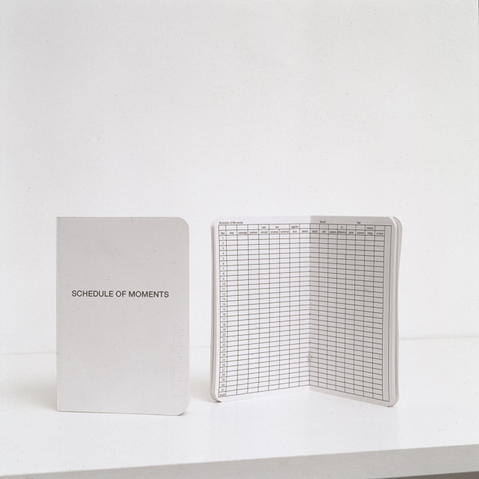 Schedule of Moments (Passport)