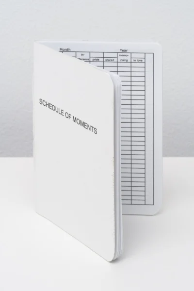 Schedule of Moments (Passport)