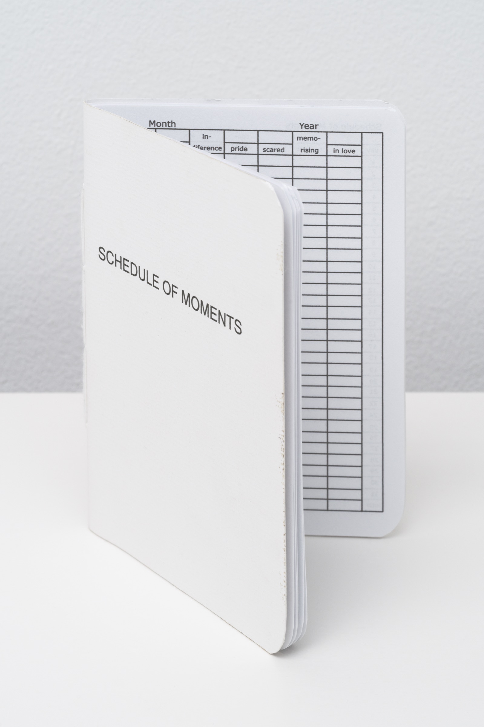 Schedule of Moments (Passport)
